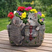 Niedliche katzen mit - niedliche,