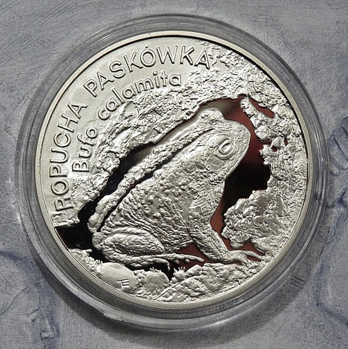 Polen 1998 kröte - -,