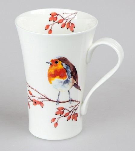 Rotkehlchen robin roy - robin, kirkham