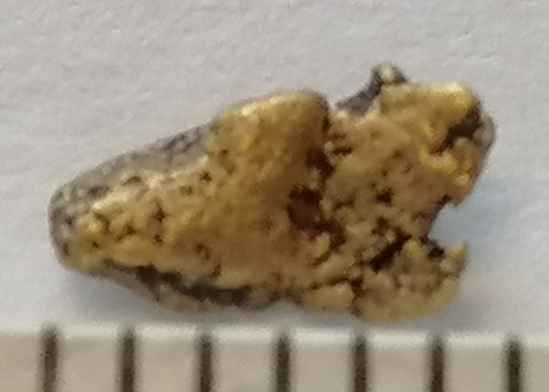 Xxl goldnugget 5 mm - xxl, 5,5