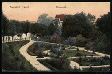 Ansichtskarte Freystadt i. Schl., Promenade 1913 