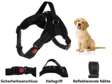 Hundegeschirr Hunde