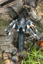 Geocache Spinne PETG |