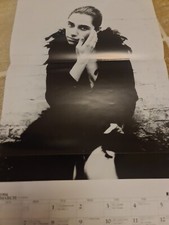 55x30cm PJ HARVEY / DAVE