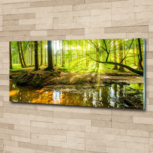Glas bild wandbilder - glas-bild, druck