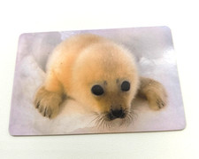 Telefonkarte Pay phone card