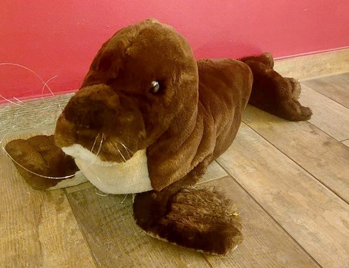 Xxl steiff seelöwe - xxl, robbe