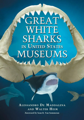 Great white sharks united - great,