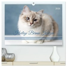 Heilige Birma Katzen - Eine