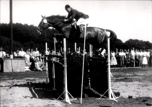 Foto springreiten sprung - foto, springreiten,
