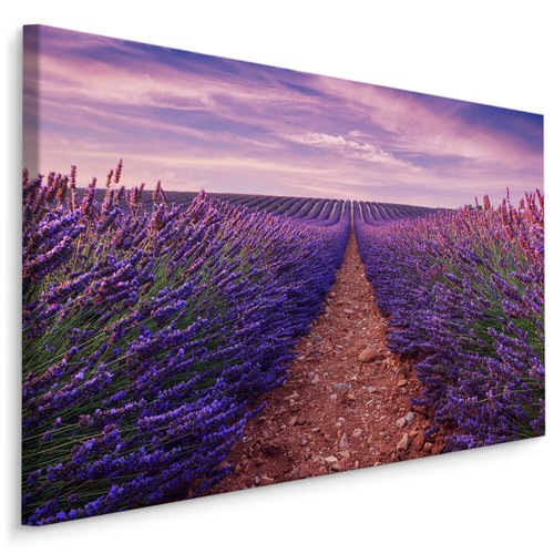 Canvas leinwand bilder - leinwand, xxl