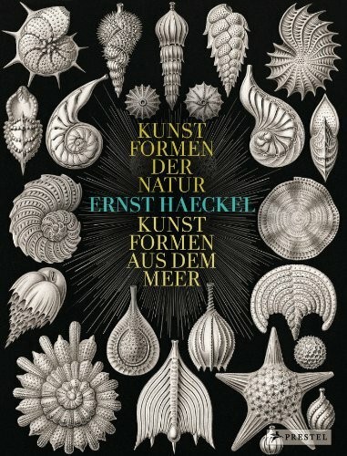 Ernst haeckel kunstformen - ernst, haeckel: