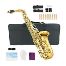 Gold Brass Alto Saxophone Eb Flat Sax Instrument with Case & Accessories