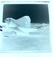 100% Original Negativ WK2 - Russland Flugzeug Wrack Flugzeuge Flugplatz  #99