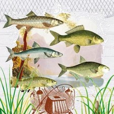 20 Servietten Fish Portrait Fische Arten Tiere Ozean beige grün Deko 33x33cm