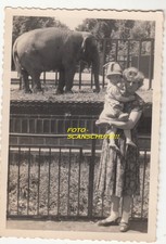 Foto Leipzig ZOO Elefant