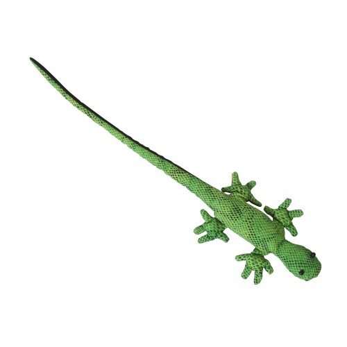 Sandtier gecko langschwanz - gecko,