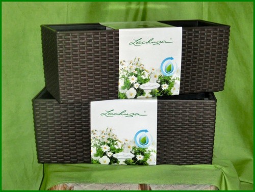 - 2x(a, 39,95€/st.)