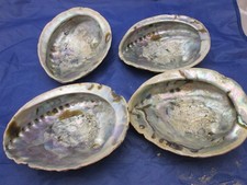 Seeohr Abalone Muschel ~  4 Stück ~ Seifenschale  ~ Fundzustand