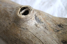 Schwemmholz Treibholz