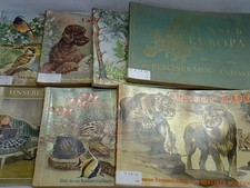 Berliner Morgenpost. 7