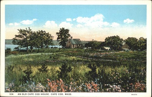 Cape cod mass old - cod,
