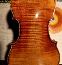 Violine Geige 4/4 Guarneri Il