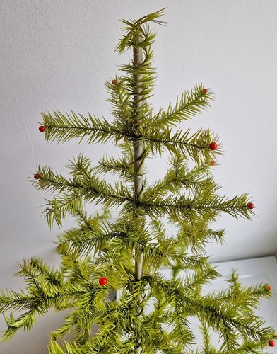 Gansfederbaum federbaum - gansfederbaum, /