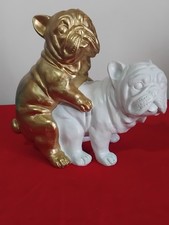 Französische Bulldogge Paar