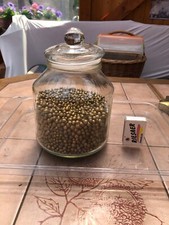 Glas mit Streudeko Perlen für Blumen