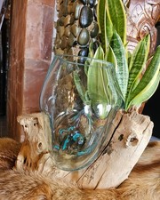 Wurzelholz Glasvase Blumenvase Liqva Vase Dekoration Garten-Haus-Wohnung Deko