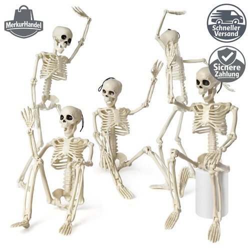 Anatomie skelett modelle - anatomie,