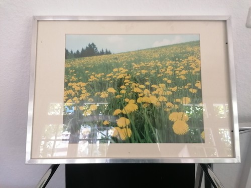 Original ikea ribba - original,