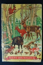 Tiere des Waldes Kinderbuch