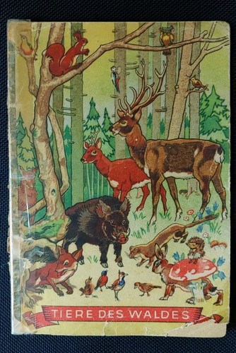 Tiere des waldes - waldes, kinderbuch
