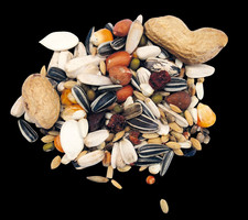 Papageienfutter TOP 10 kg