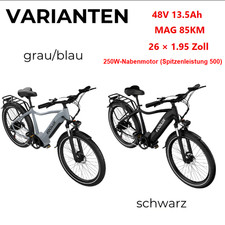 26'' KOOLUX X3 Elektrofahrrad