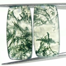 21,20 Ct Natur Mossachat
