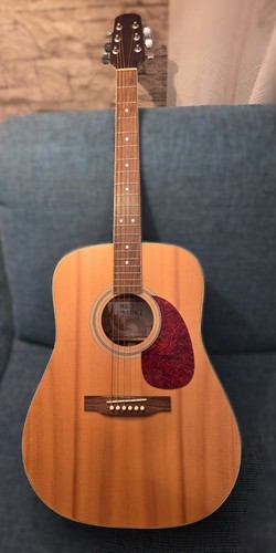 Akustikgitarre pablo martinez - akustikgitarre,
