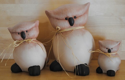 Eule terracotta 3er - eule, 3er-set
