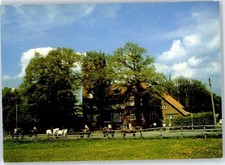50965886 - 2359 Henstedt-Ulzburg Reiterhof Burg Vogelsang Segeberg LKR