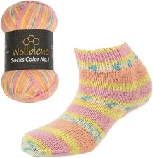 Wollbiene Socks Color