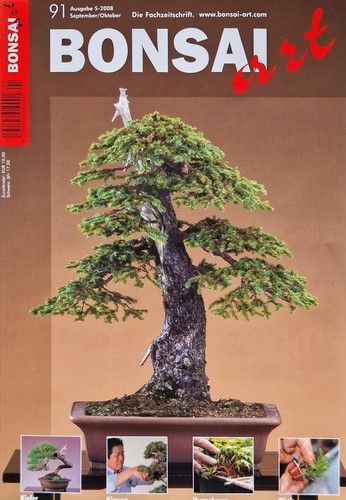 Bonsai art - 10,