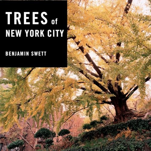 Trees new york city - york,