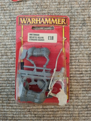 Warhammer berittener knappe - berittener,