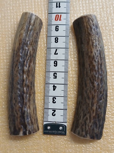 Rehstangen hirschhorn - rehstangen,