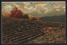 Künstler-Lithographie Alfred