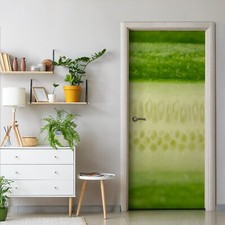 Türe Folie Türtapete