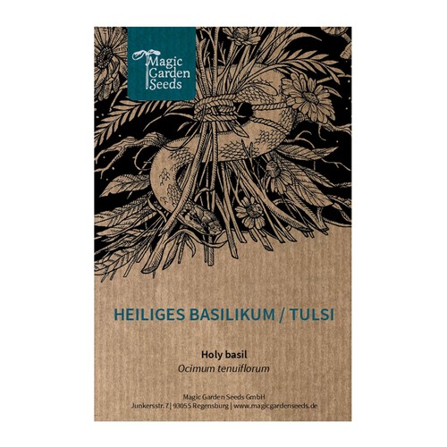 Heiliges basilikum tulsi - heiliges,