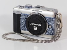 Olympus PEN E-PL1 Dolphin